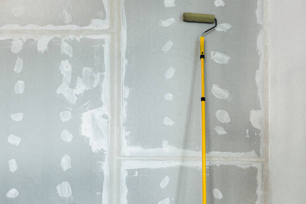 Best Water-Damaged Drywall Repair  in Western Lake, TX