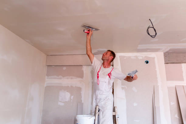 Reliable Western Lake, TX Dry wall and painting Solutions